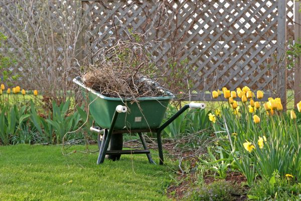 Flower Bed Cleanup Service in Saint Cloud
