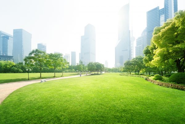 Commercial Landscape Maintenance in Saint Cloud