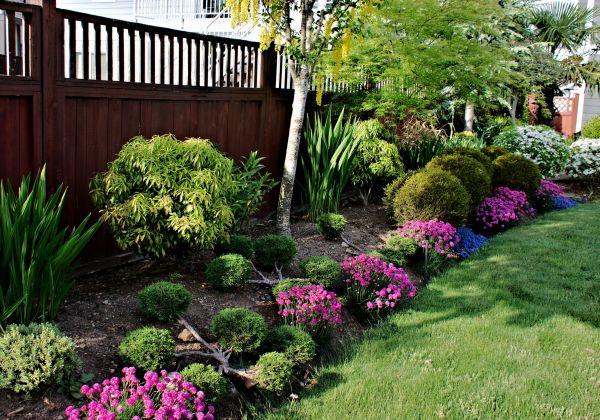 Garden Care Service in Saint Cloud