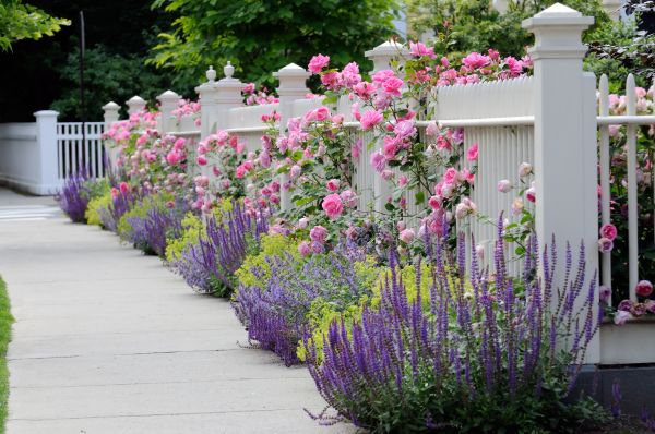 Garden Handyman Service in Saint Cloud