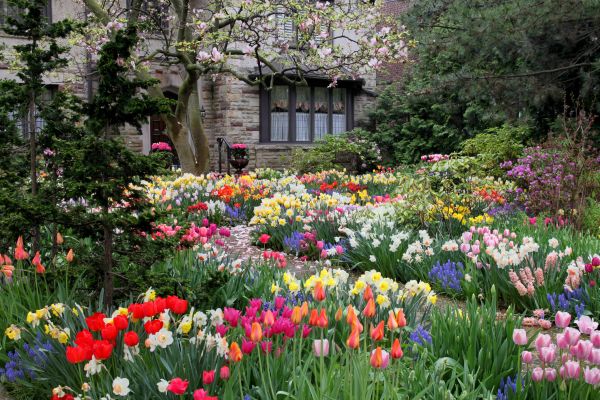 Garden Maintenance Service in Saint Cloud
