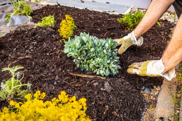 Weeding And Mulching in Saint Cloud