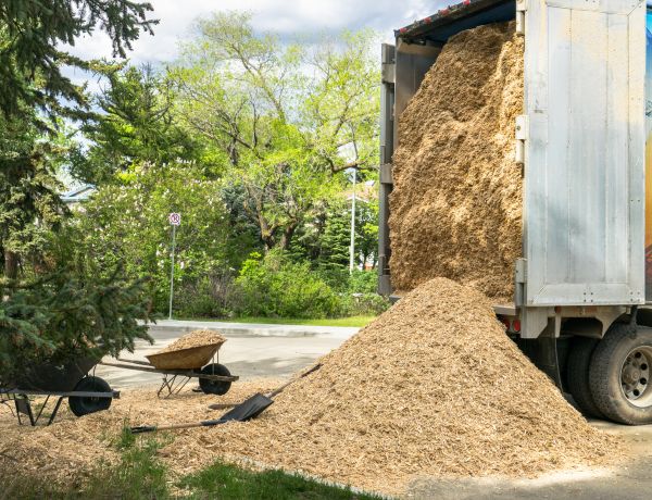 Wood Chips Delivery in Saint Cloud