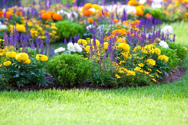 Garden Installation in Saint Cloud
