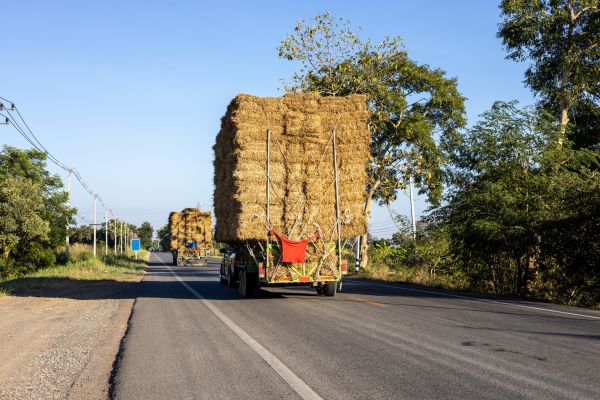 Pine Straw Delivery in Saint Cloud