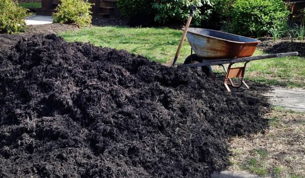 Black Mulch Delivery in Saint Cloud