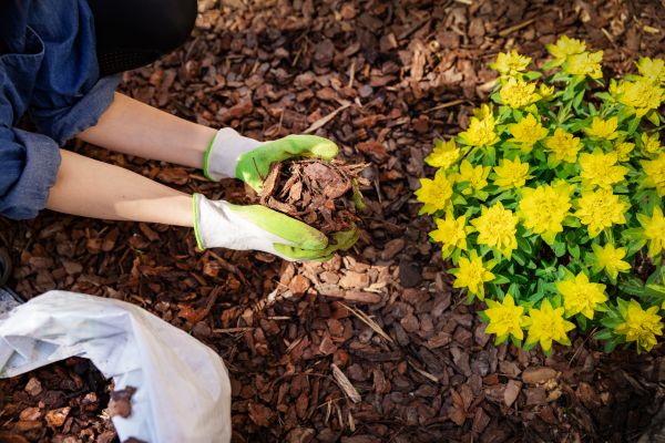 Garden Mulching in Saint Cloud
