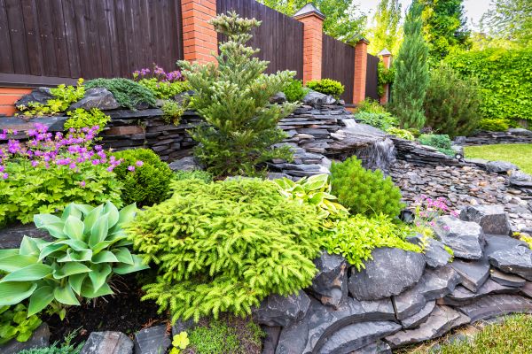 Landscape Remodeling in Saint Cloud