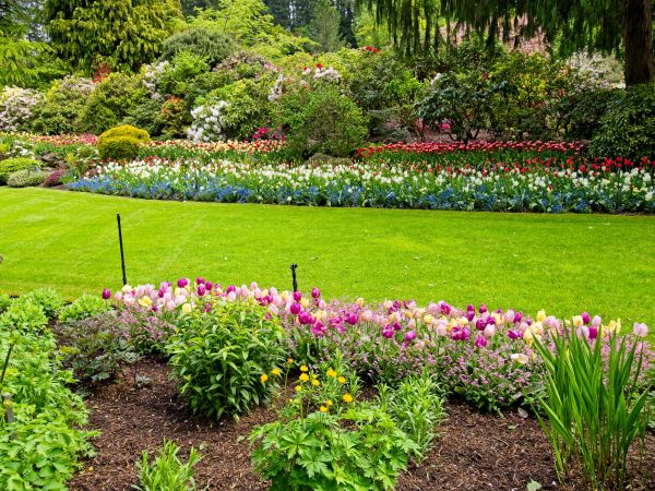 Residential Landscape Design in Saint Cloud