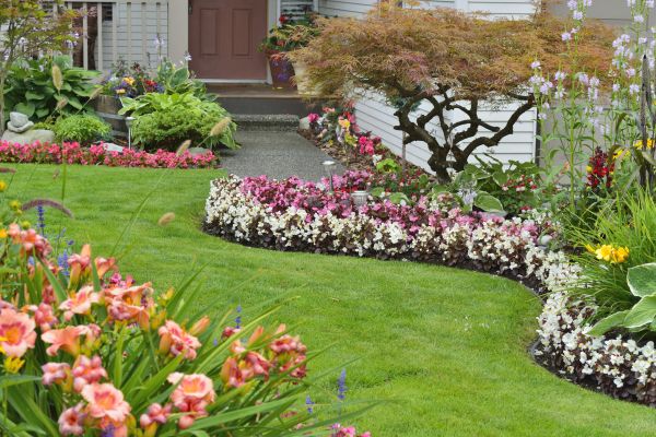 Perennial Landscaping in Saint Cloud