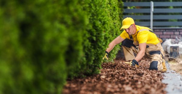 Cypress Mulch Installation in Saint Cloud