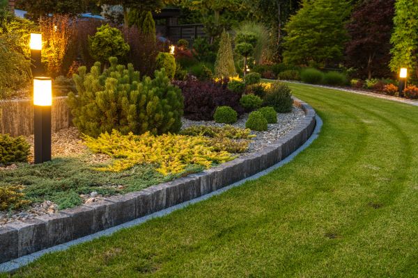 Garden Repair Service in Saint Cloud