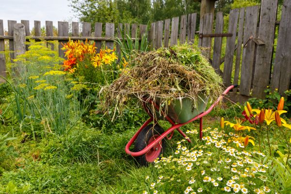 Garden Cleanup Service in Saint Cloud