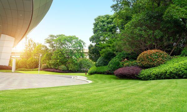 Business Landscape Design in Saint Cloud