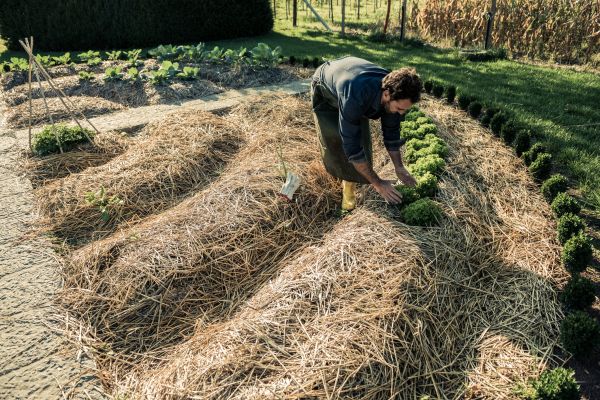 Straw Mulching Service in Saint Cloud