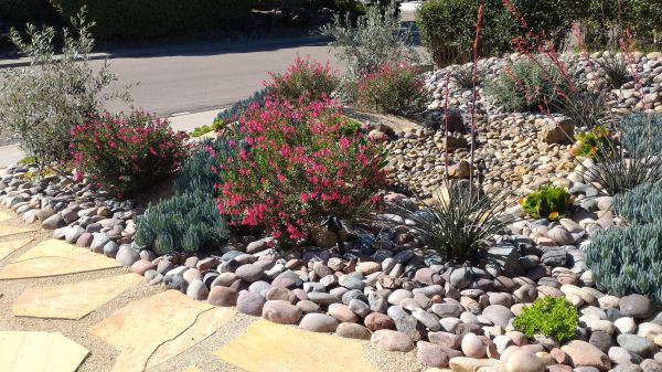 Xeriscape Landscaping in Saint Cloud