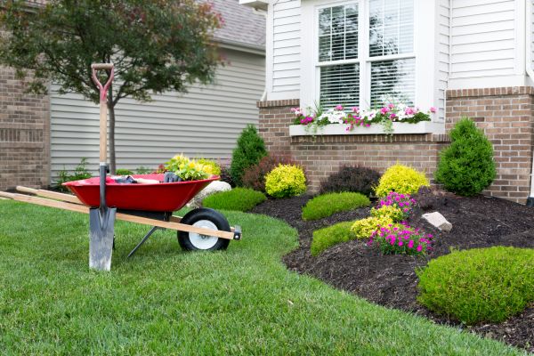 Tree And Shrub Planting in Saint Cloud