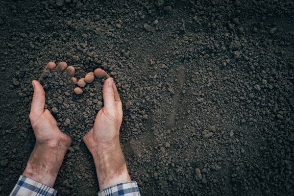 Soil Installation in Saint Cloud
