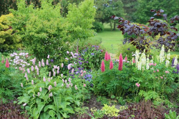 Flower Bed Planting in Saint Cloud