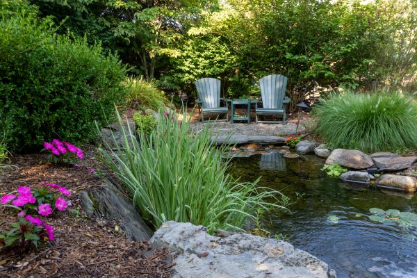 Pond Landscaping