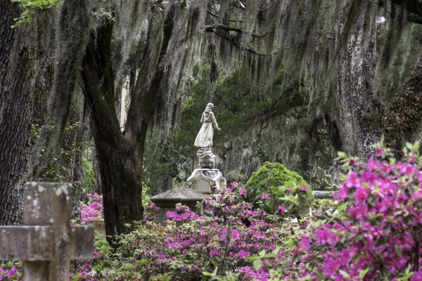 Cemetery Landscaping in Saint Cloud