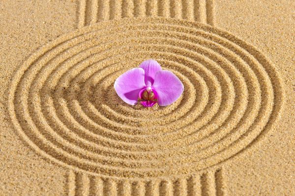 Sand Garden Landscaping in Saint Cloud