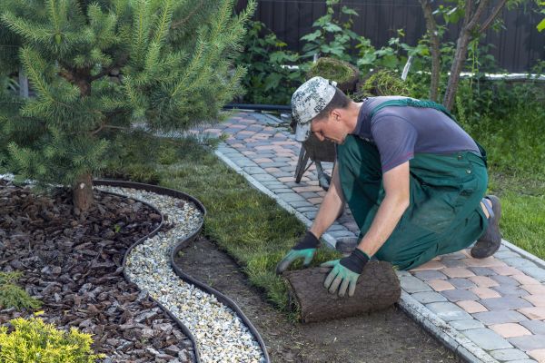 Landscaping Modification in Saint Cloud