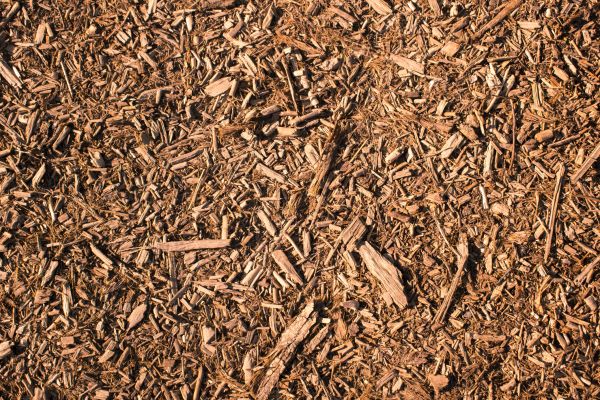Wood Chips Removal in Saint Cloud