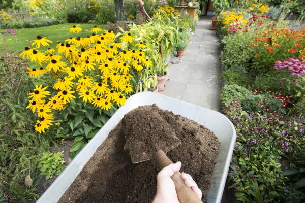 Topsoil Replacement in Saint Cloud
