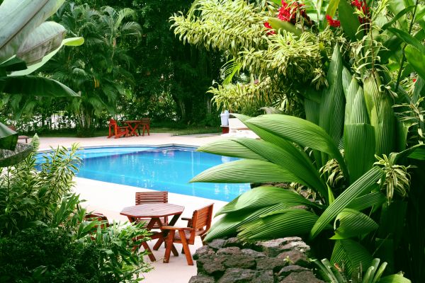 Pool Area Landscaping in Saint Cloud