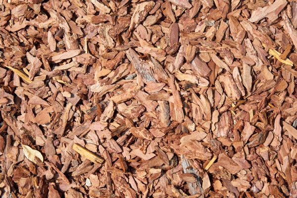 Pine Mulch Spreading in Saint Cloud