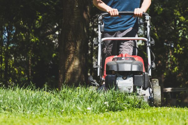 Garden Trimming Service in Saint Cloud