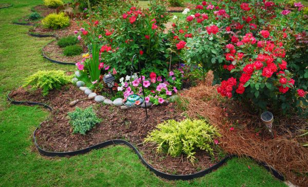Floral Landscaping in Saint Cloud