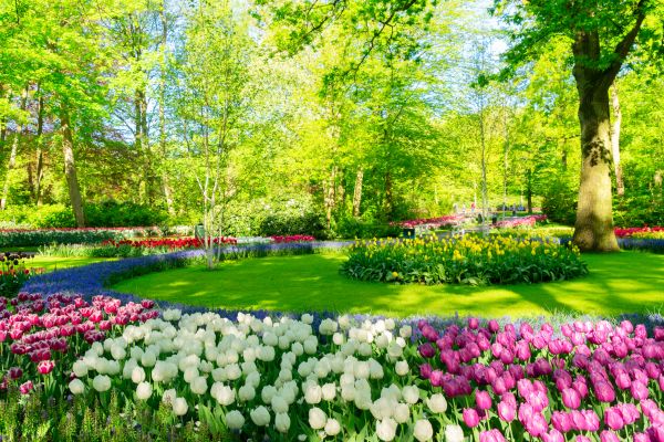Flower Landscaping in Saint Cloud