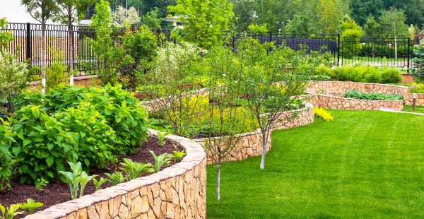 Yard Makeover Service in Saint Cloud
