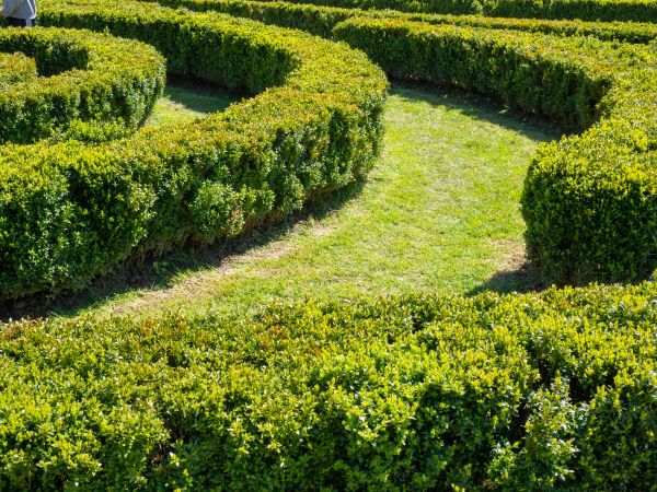 Bush Landscaping in Saint Cloud