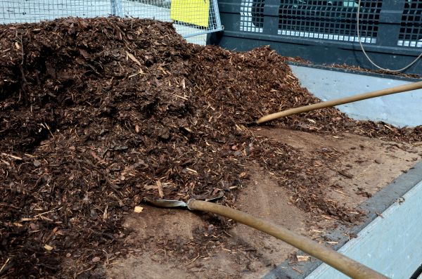 Cedar Bark Delivery in Saint Cloud