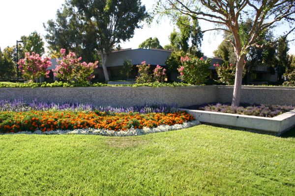 Commercial Landscape Service in Saint Cloud