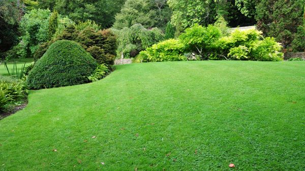 Commercial Landscape Design in Saint Cloud