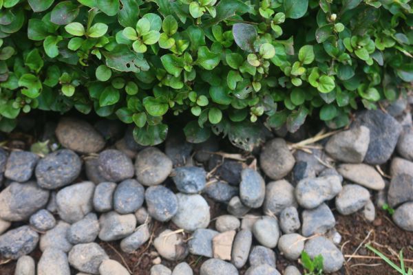 River Stone Installation in Saint Cloud