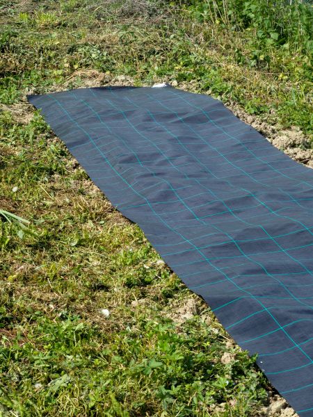 Weed Suppressant Installation in Saint Cloud