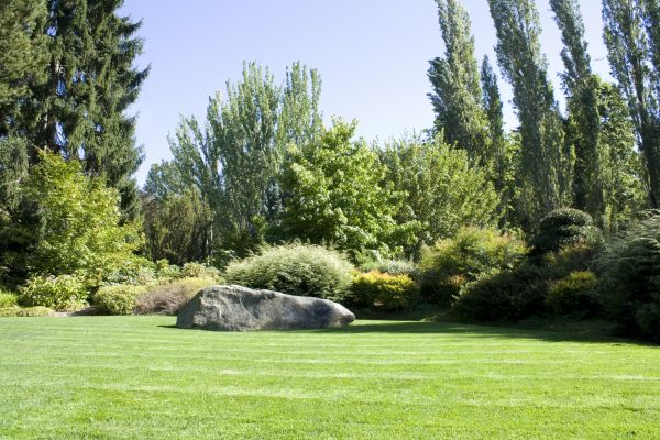 Yard Enlargement in Saint Cloud