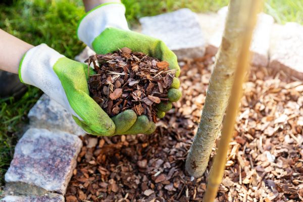 Tree Bark Delivery in Saint Cloud