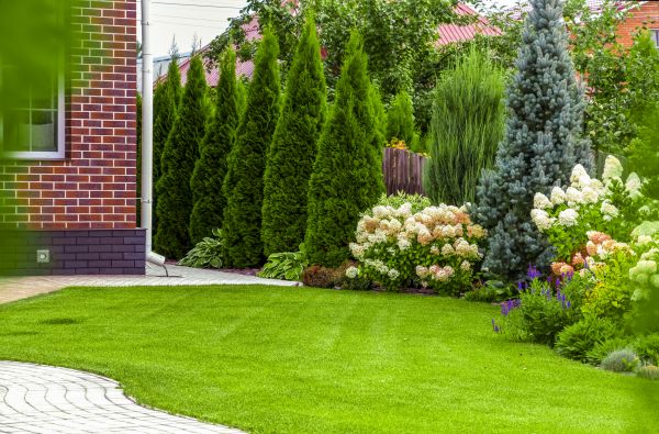 Spring Landscaping in Saint Cloud