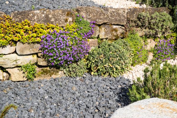 Landscaping Rocks Installation in Saint Cloud