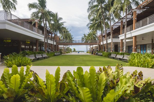 Commercial Lawn Renovation in Saint Cloud