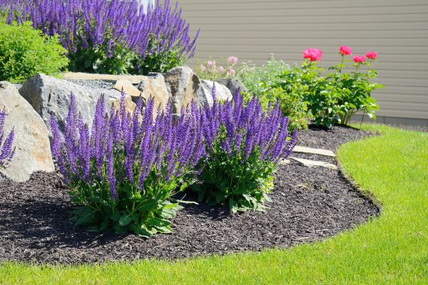 Landscape Planting Service in Saint Cloud