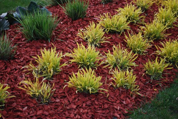 Red Mulch Installation in Saint Cloud