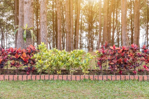 Small Garden Landscaping in Saint Cloud