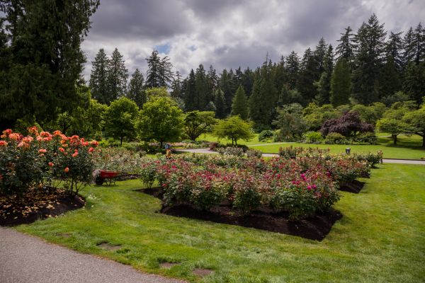 Flower Garden Landscaping in Saint Cloud